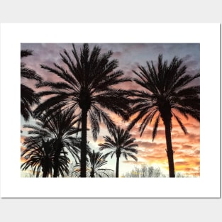 Sunrise Palms Posters and Art